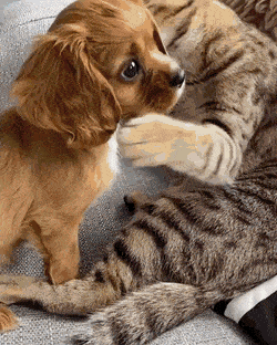 С добрым утром!