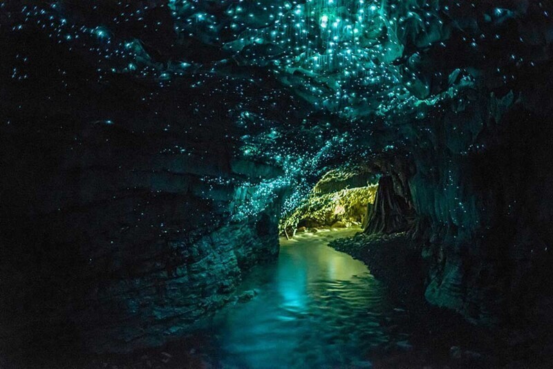 Пещера светящихся червей в Вайтамо, Новая Зеландия. Светящиеся черви — еще одно чудесное и загадочное явление природы
