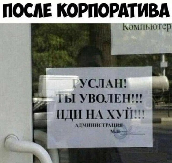 Фотоприколы и прикольные картинки