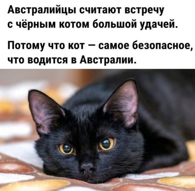 Фотоприколы и прикольные картинки
