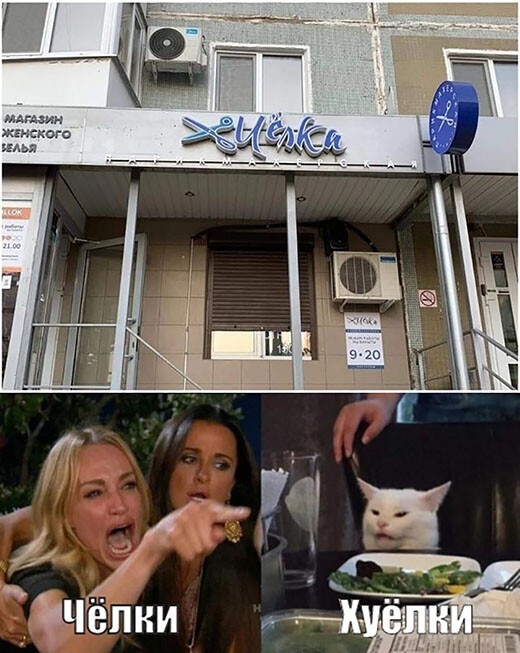 Фотоприколы и прикольные картинки