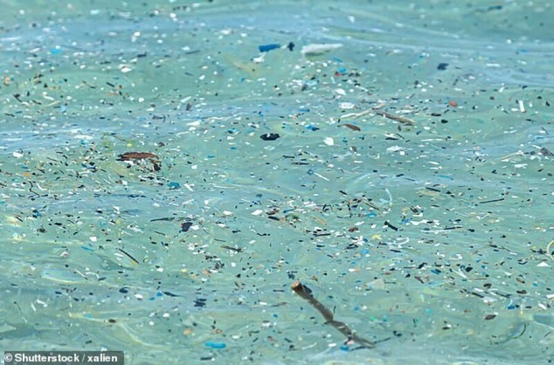 Объём микропластика в мировом океане утроился с 2000-х годов