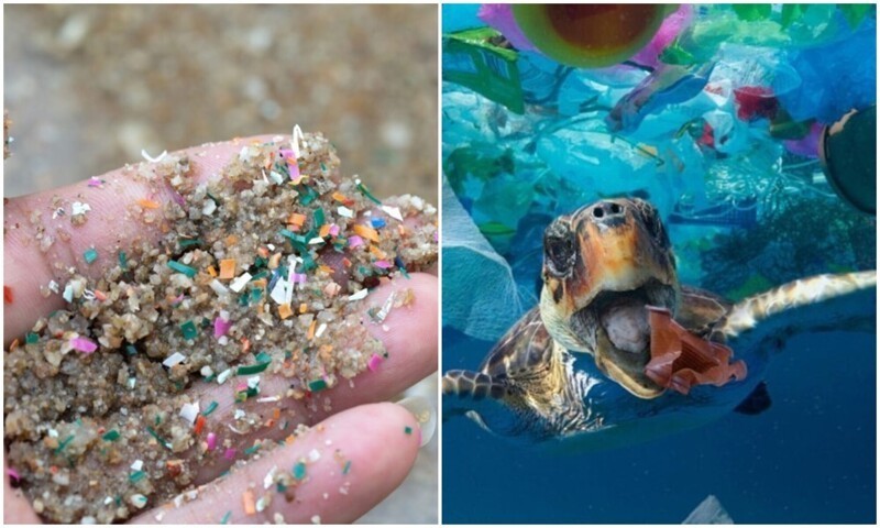 Объём микропластика в мировом океане утроился с 2000-х годов