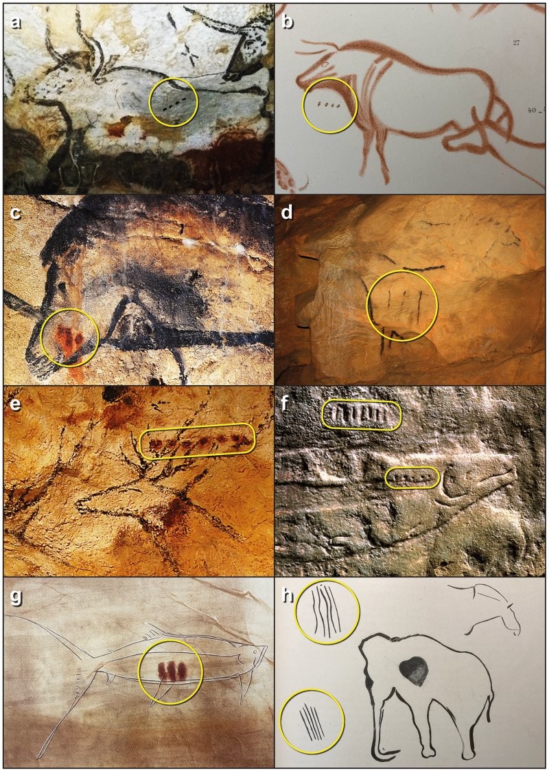 Нарисованные точки возрастом 20 000 лет могут быть самым ранним письменным языком, утверждает исследование