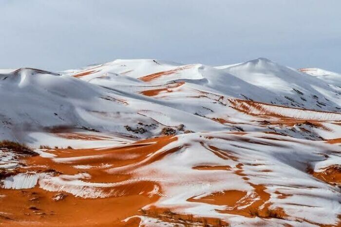 14. Как выглядит снег в пустыне Сахара