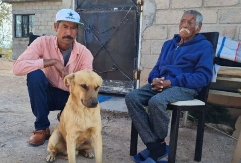 Собака привела спасателей к своему хозяину, который потерялся в пустыне