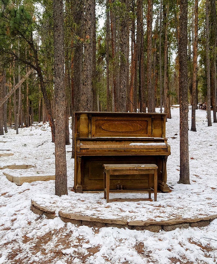 33. Пианино посреди леса