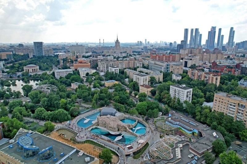 В Московском зоопарке открыли уникальный павильон «Ластоногие»  