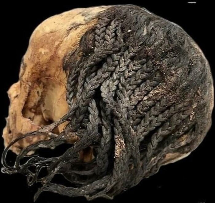 18. Примерно 3300-летняя прическа, сохранившаяся на голове жителя Древнего Египта