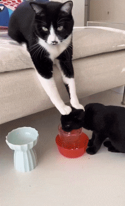 "Запомни: 3 литра воды в день"