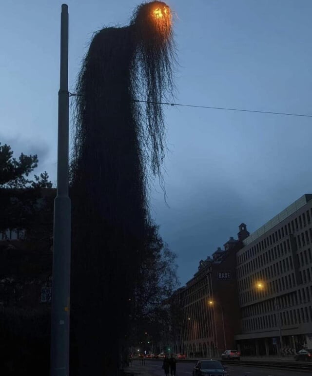 Этот заросший фонарь выглядит кошмарным видением