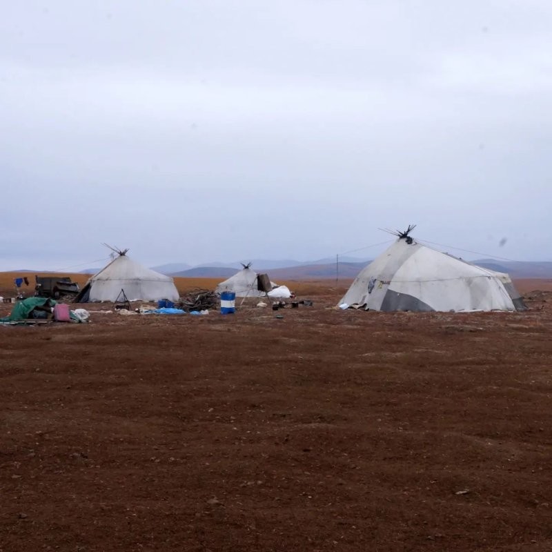 На Чукотку часто приезжают туристы, выезжают жить в "поля" с типичными местными палатками. Стоимость тура начинается от 150 тыс рублей