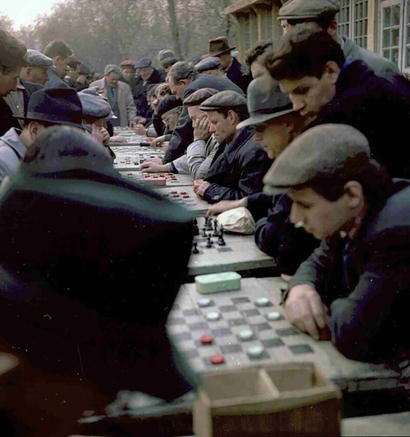 Шахматисты в парке Горького, Москва, 1967 год