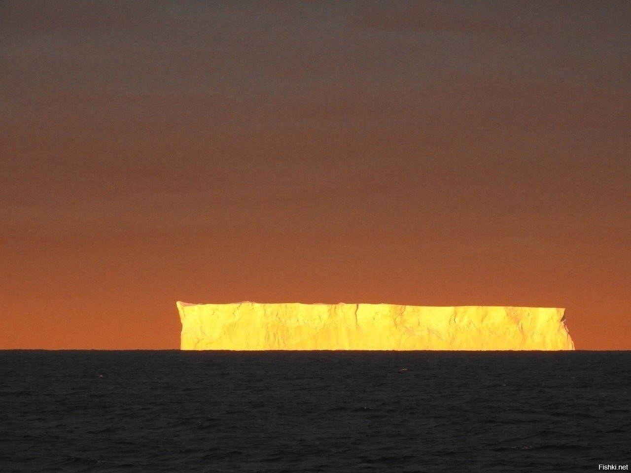 Плоский айсберг освещенный закатом, Антарктида