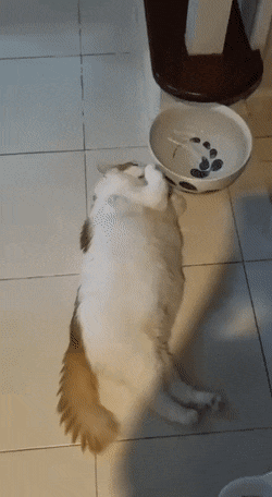 Лень она такая