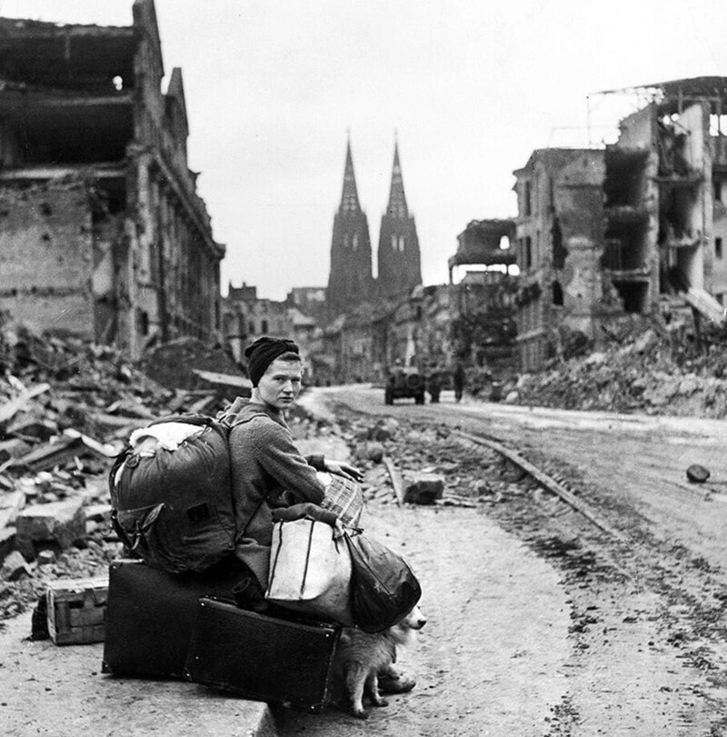 Бездомная немка с собакой и вещами сидит среди руин в Кельне, Германия, 1945 год