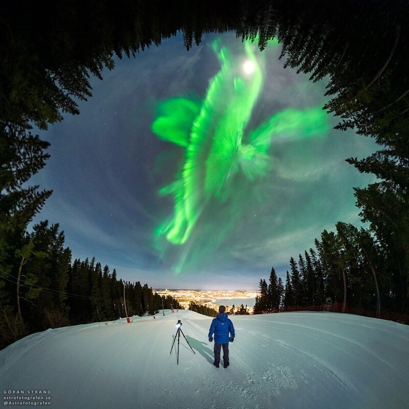 Фотограф запечатлел идеальное гало за полярным кругом