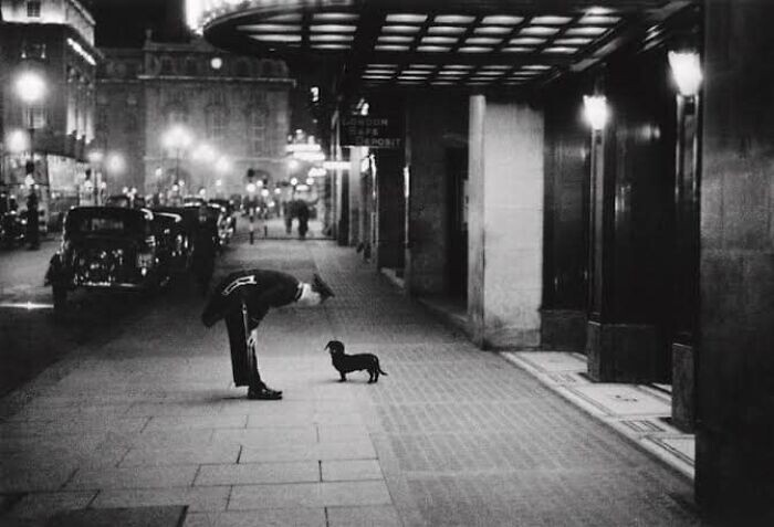 4. Швейцар отеля разговаривает с таксой на площади Пикадилли в Лондоне. 1938 г.