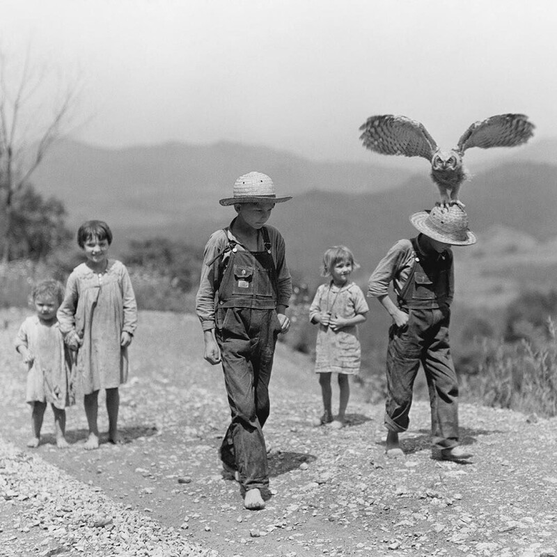 Мальчик и его сова, 1933 год