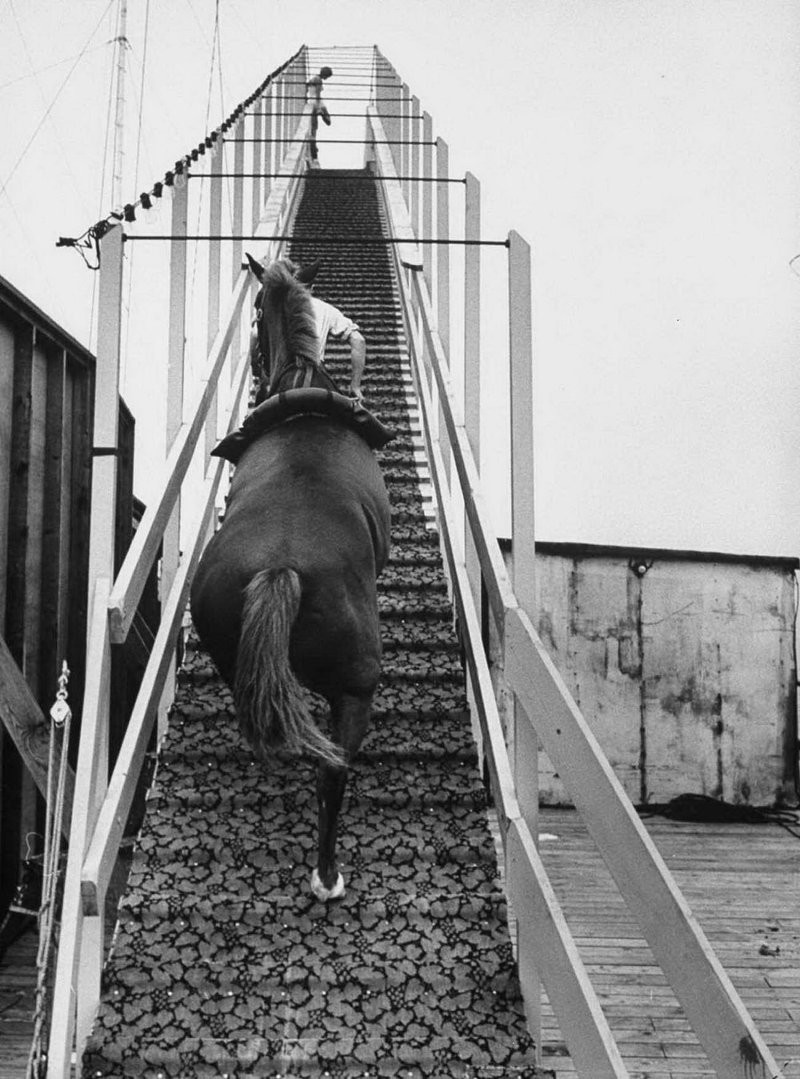 Ныряющая лошадь: старые фотографии самых опасных каскадёрских шоу. 1900-1970-е годы