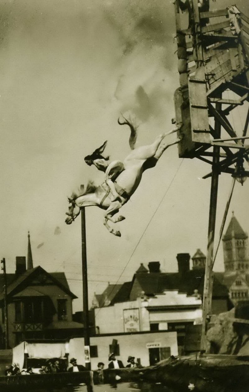 Ныряющая лошадь: старые фотографии самых опасных каскадёрских шоу. 1900-1970-е годы