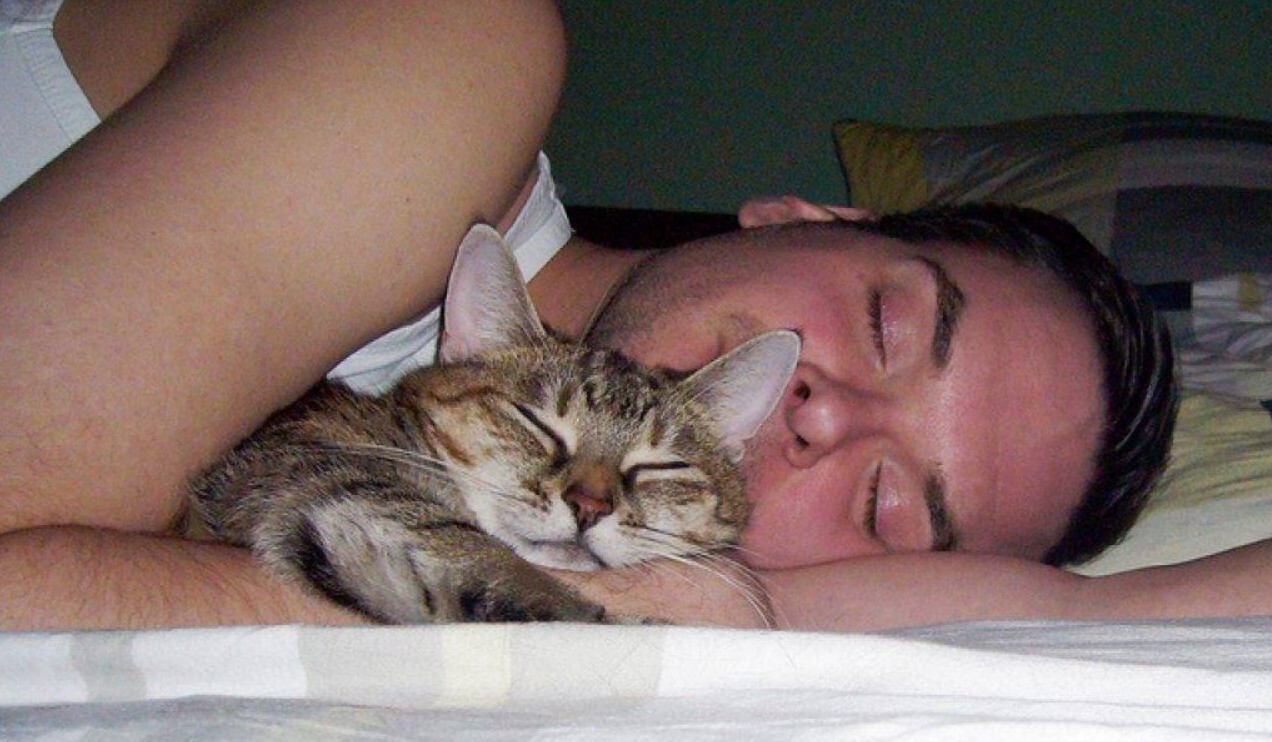 Кошка спит с хозяином
