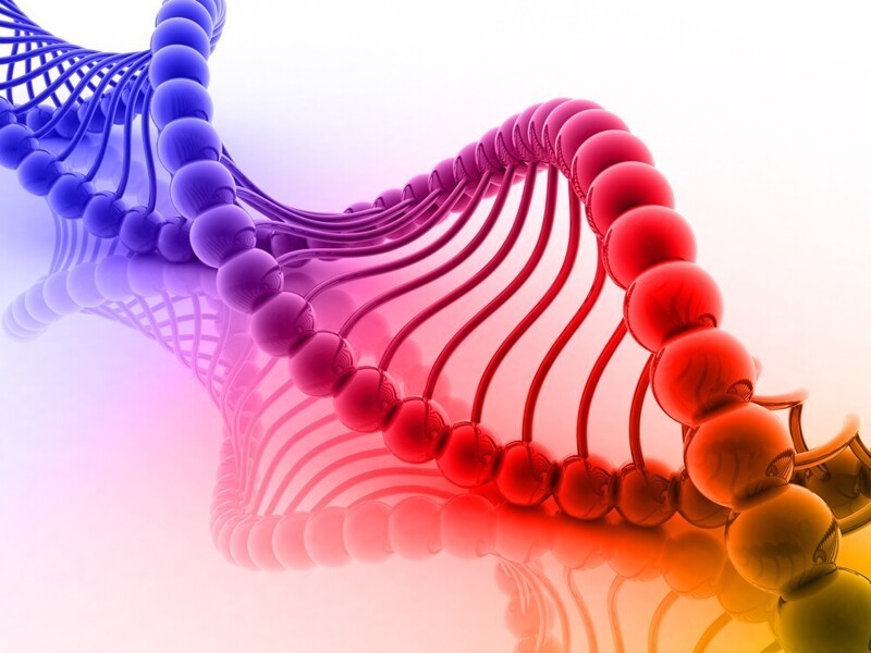 Как расшифровывается ДНК человека