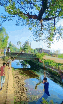 Бесплатная карусель