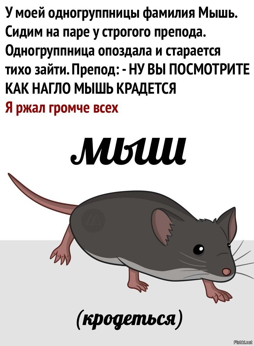 Стихотворение тише мыши кот на крыше. Тише, мыши - кот на крыше!. Стишки со звуком ш для детей. Тихонько как мышь мем. Потише потише сидите как мыши.