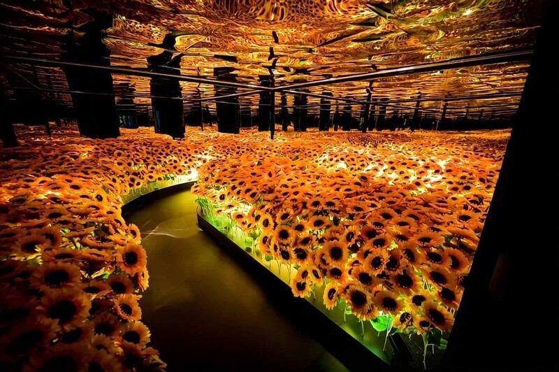 Подсолнуховый зал на художественной выставке Ван Гога