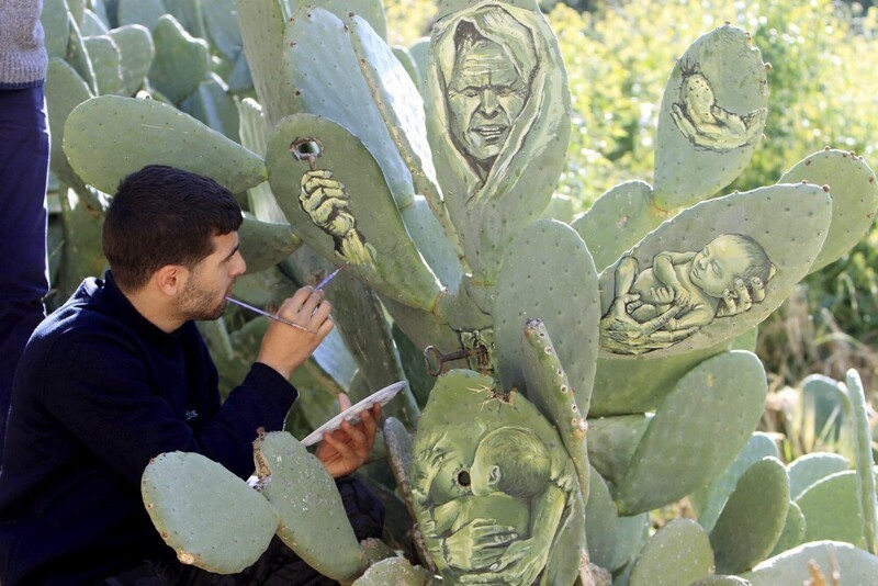 Палестинский художник делает рисунки на кактусовых деревьях