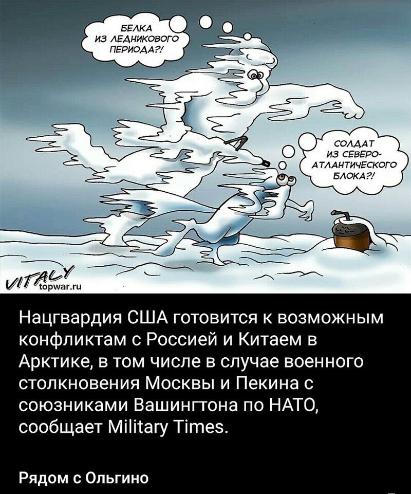 О политике и не только