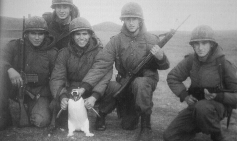 Аргентинские солдаты с пленным пингвином