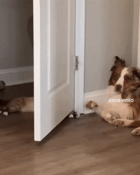 Ленивые игры