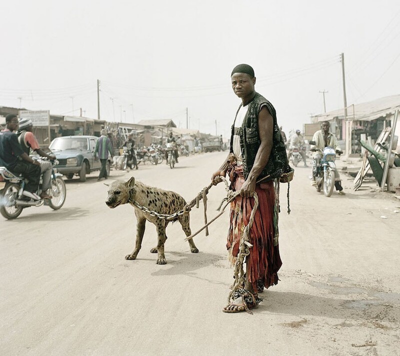 Нигерийцы, гуляющие с гиенами на поводках, возмутили публику