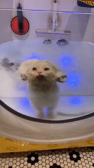 Он точно отомстит