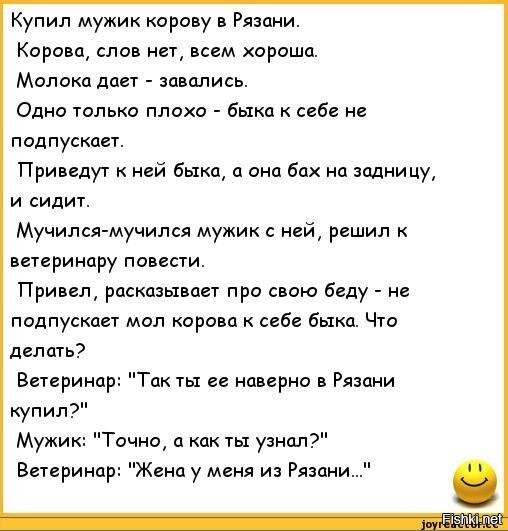 Мужик дал корове. Анекдот про корову. Анекдоты про жену. Смешные сценки про папу и детей. Анекдоты про папу.