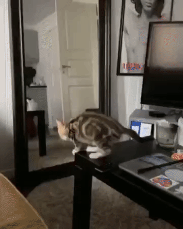 С добрым утром!