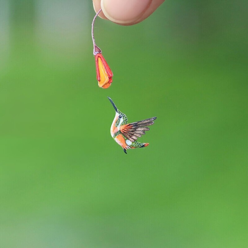 Ожерелковый колибри