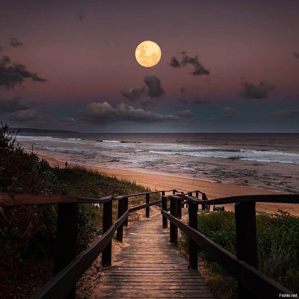 Красивая луна над океаном