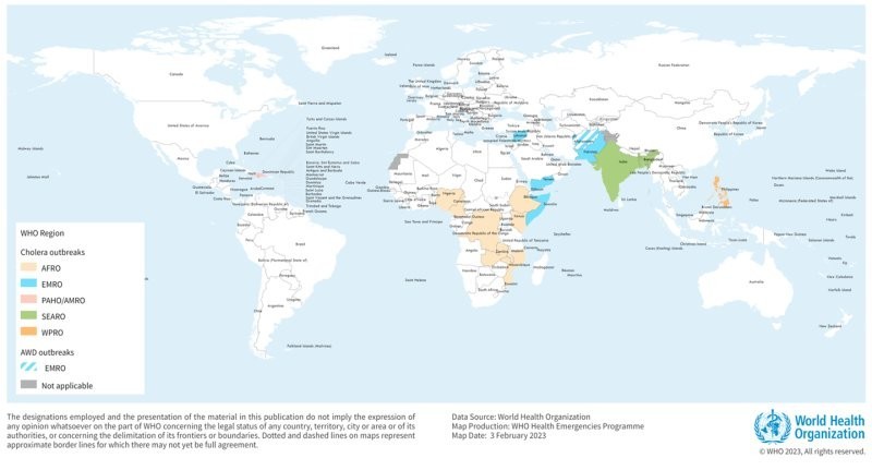 ВОЗ предупреждает о риске распространения холеры в мире