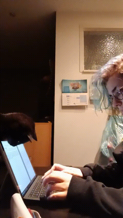 Одним махом