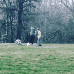 Просто гифки, всякие и&nbsp;разные