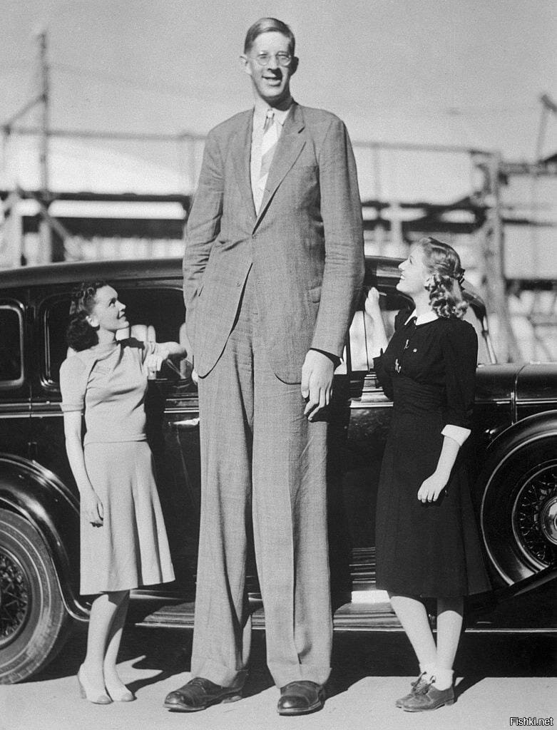 Роберт Уодлоу, самый высокий зарегистрированный человек в истории, его рост б...