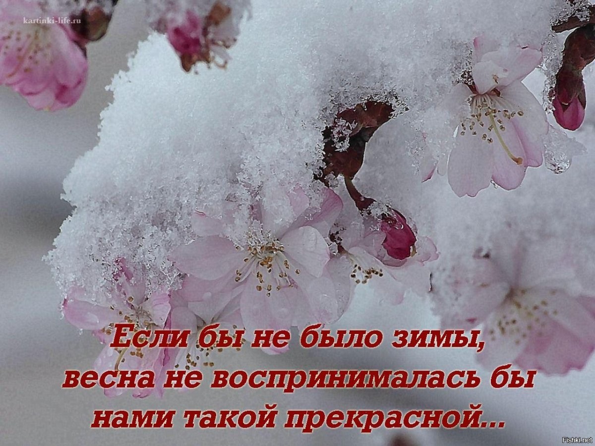 Кругом лежит снег но если быть внимательным можно заметить приближение весны схема