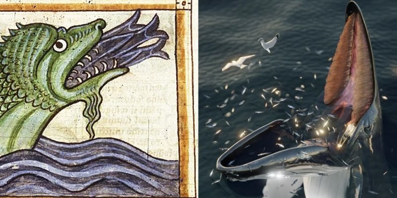 Учёные раскрыли происхождение древнего морского чудовища из скандинавских рукописей