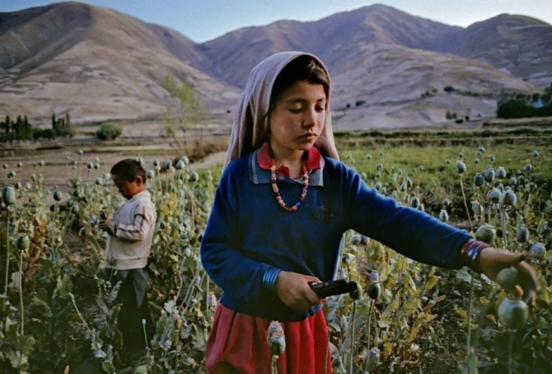 Дети работают на маковом поле в Бадахшане, Афганистан. Фото Steve McCurry 1992 год