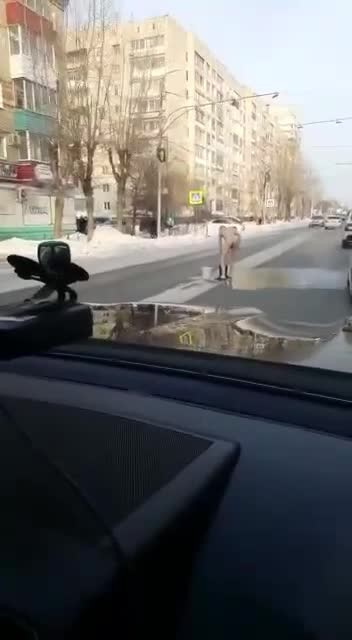 Обрызгал пешехода