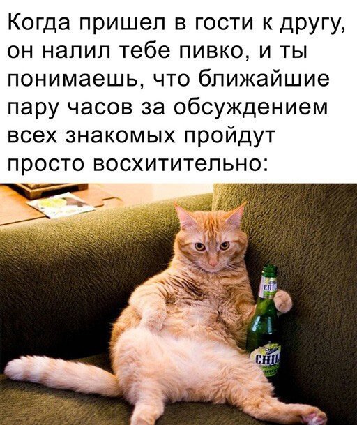 Алкопост на&nbsp;вечер этой пятницы