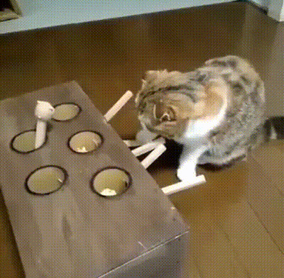 Как упороть кота